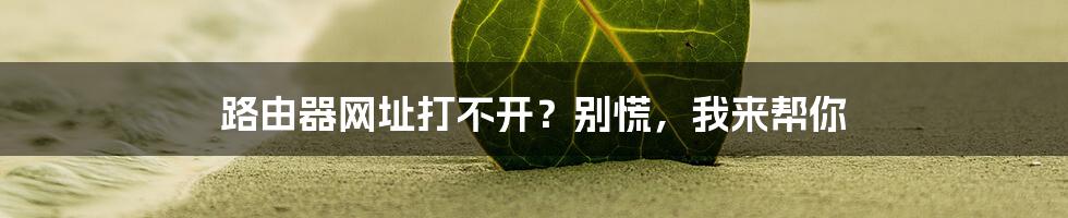 路由器网址打不开?别慌,我来帮你