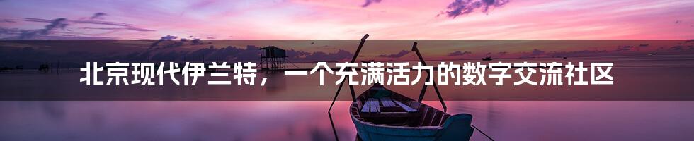 北京现代伊兰特,一个充满活力的数字交流社区