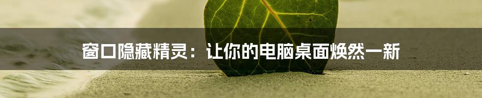 窗口隐藏精灵：让你的电脑桌面焕然一新