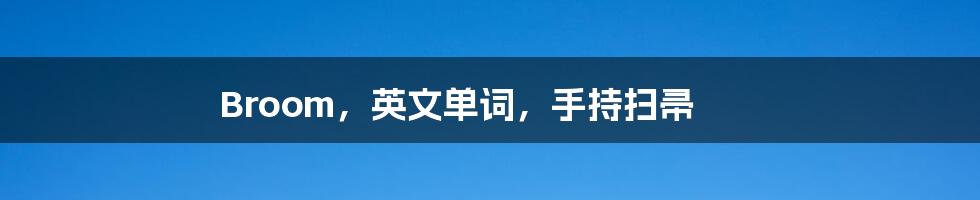 Broom,英文单词,手持扫帚