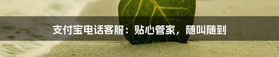 支付宝电话客服:贴心管家,随叫随到