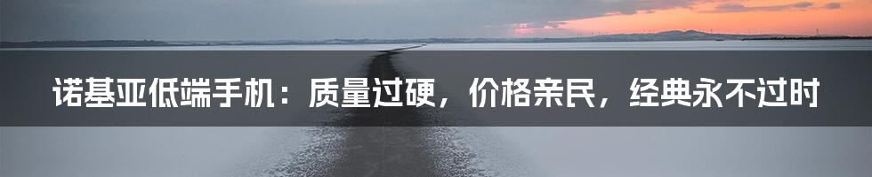 诺基亚低端手机:质量过硬,价格亲民,经典永不过时