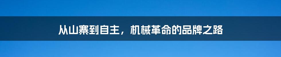 从山寨到自主,机械革命的品牌之路