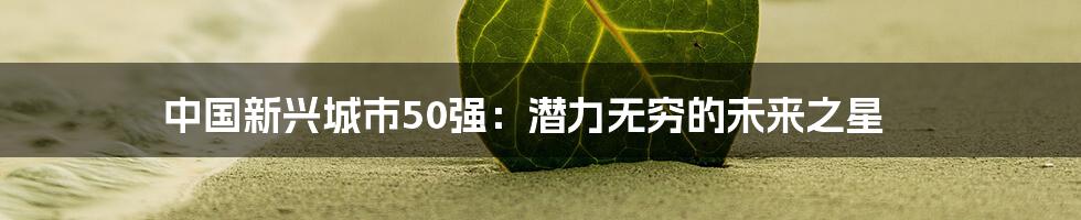中国新兴城市50强:潜力无穷的未来之星