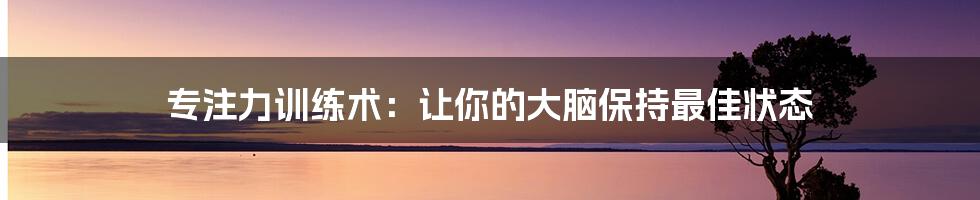 专注力训练术：让你的大脑保持最佳状态