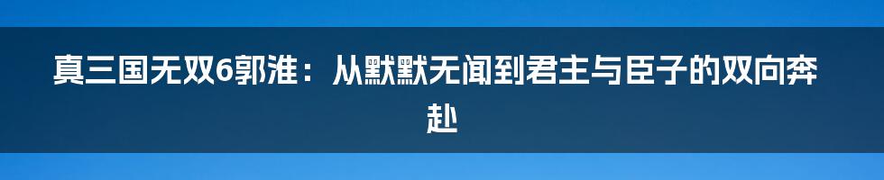 真三国无双6郭淮：从默默无闻到君主与臣子的双向奔赴