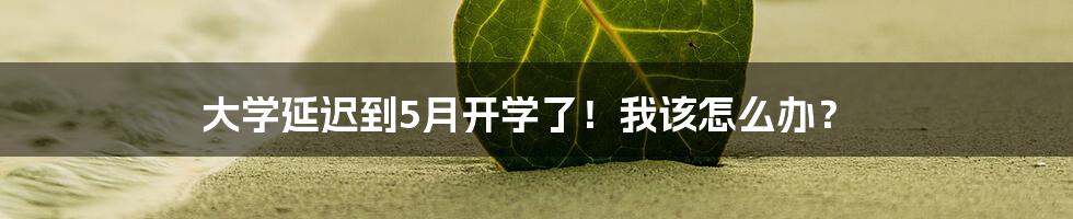 大学延迟到5月开学了!我该怎么办?