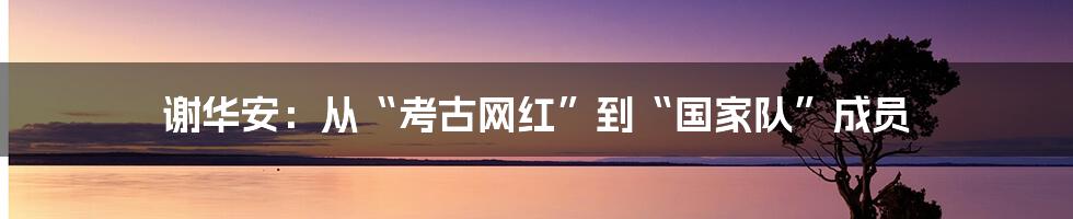 谢华安:从“考古网红”到“国家队”成员