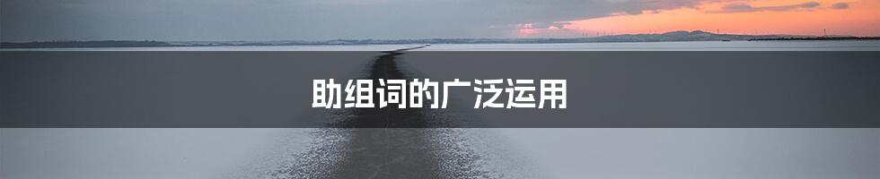 助组词的广泛运用