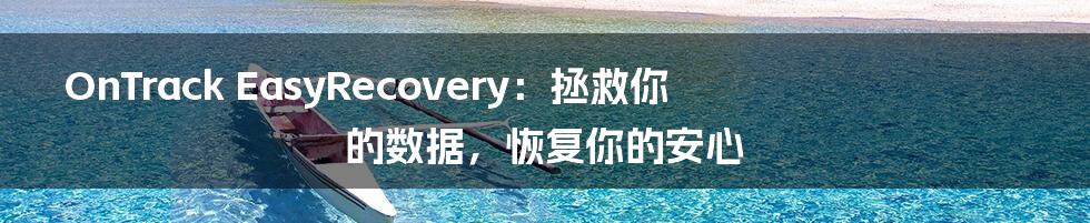 OnTrack EasyRecovery：拯救你的数据，恢复你的安心