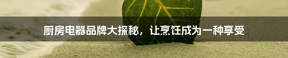 厨房电器品牌大探秘,让烹饪成为一种享受