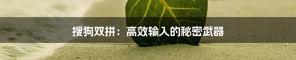 搜狗双拼：高效输入的秘密武器