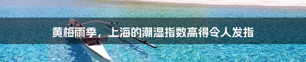 黄梅雨季,上海的潮湿指数高得令人发指