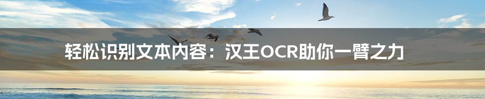 轻松识别文本内容：汉王OCR助你一臂之力