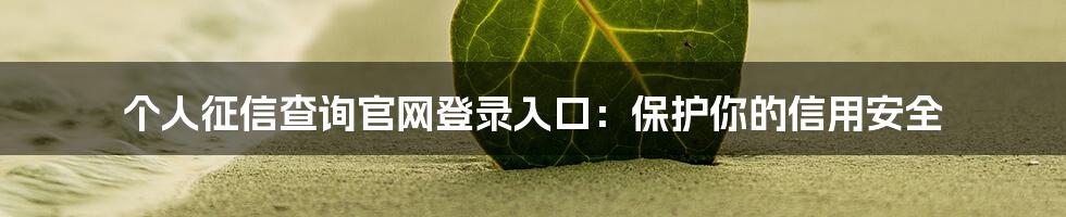 个人征信查询官网登录入口：保护你的信用安全