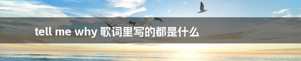 tell me why 歌词里写的都是什么