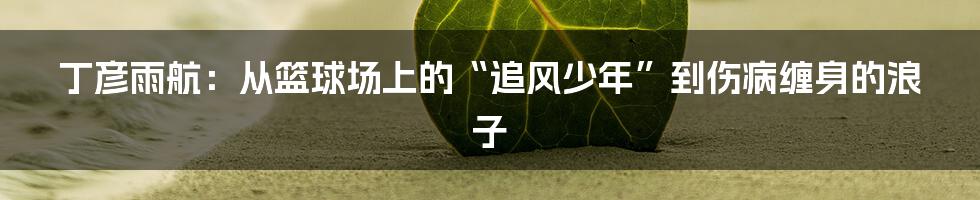 丁彦雨航:从篮球场上的“追风少年”到伤病缠身的浪子