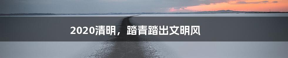 2020清明,踏青踏出文明风