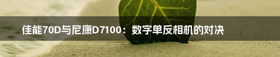 佳能70D与尼康D7100：数字单反相机的对决