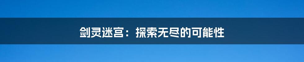 剑灵迷宫：探索无尽的可能性