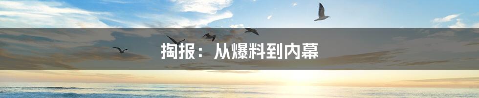 掏报：从爆料到内幕