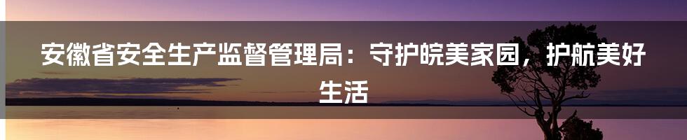 安徽省安全生产监督管理局：守护皖美家园，护航美好生活