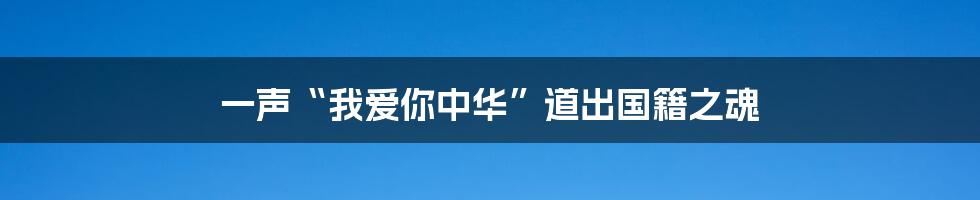 一声“我爱你中华”道出国籍之魂
