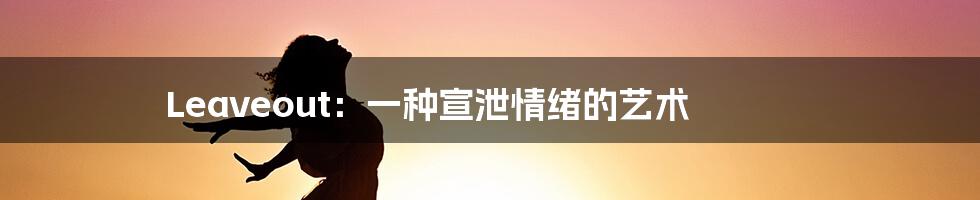 Leaveout:一种宣泄情绪的艺术