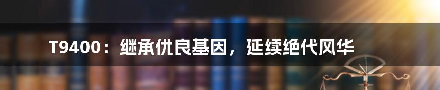 T9400:继承优良基因,延续绝代风华