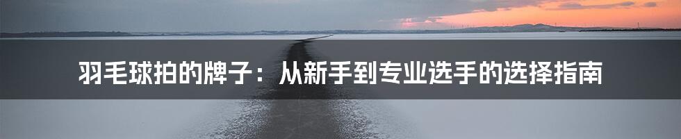 羽毛球拍的牌子:从新手到专业选手的选择指南