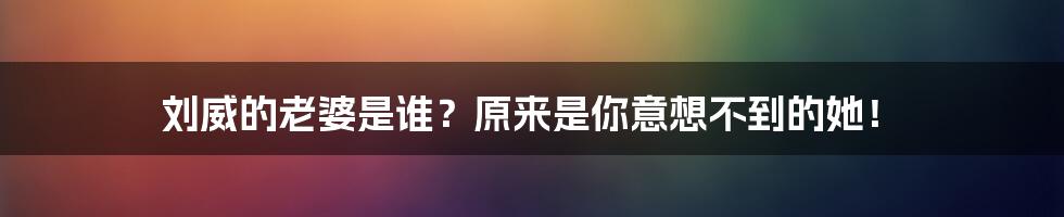 刘威的老婆是谁?原来是你意想不到的她!