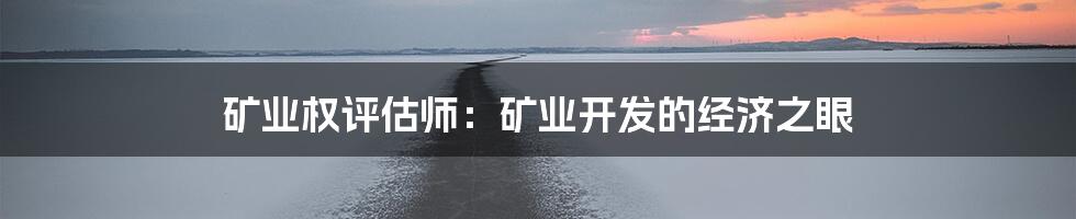 矿业权评估师：矿业开发的经济之眼