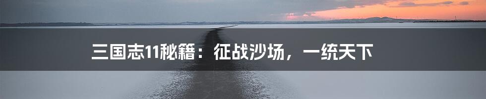 三国志11秘籍:征战沙场,一统天下