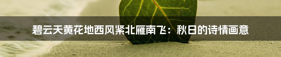 碧云天黄花地西风紧北雁南飞：秋日的诗情画意