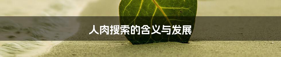 人肉搜索的含义与发展