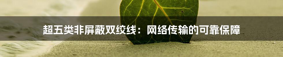 超五类非屏蔽双绞线：网络传输的可靠保障