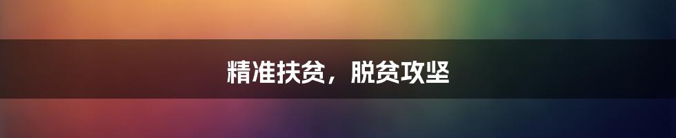 精准扶贫，脱贫攻坚