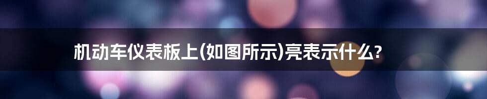 机动车仪表板上(如图所示)亮表示什么?