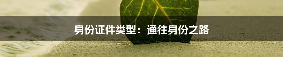 身份证件类型：通往身份之路