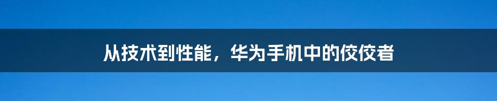 从技术到性能，华为手机中的佼佼者