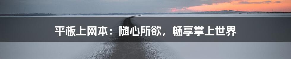 平板上网本：随心所欲，畅享掌上世界