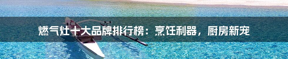 燃气灶十大品牌排行榜:烹饪利器,厨房新宠