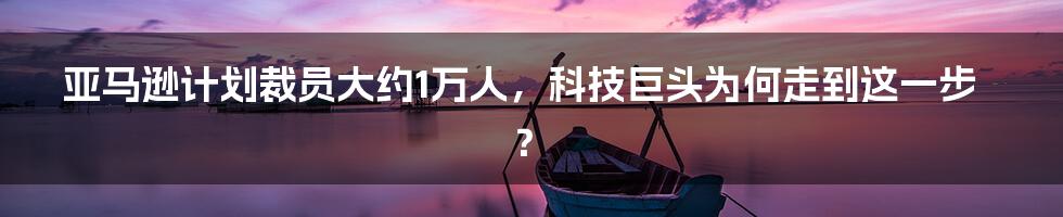 亚马逊计划裁员大约1万人,科技巨头为何走到这一步?