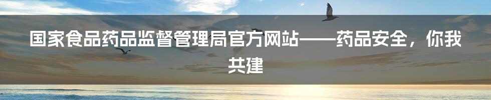 国家食品药品监督管理局官方网站——药品安全，你我共建