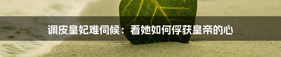 调皮皇妃难伺候:看她如何俘获皇帝的心