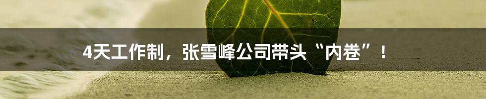 4天工作制,张雪峰公司带头“内卷”!