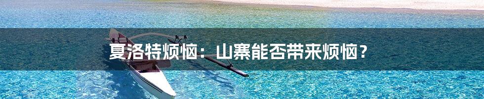 夏洛特烦恼:山寨能否带来烦恼?