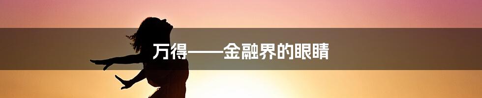 万得——金融界的眼睛