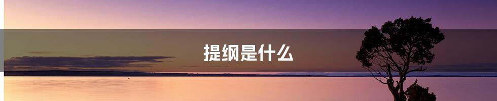 提纲是什么