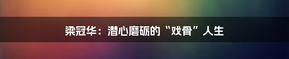 梁冠华:潜心磨砺的“戏骨”人生